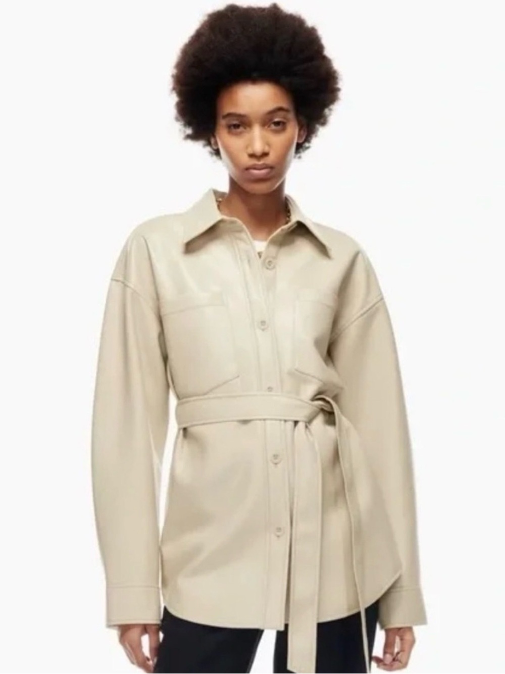 Aritzia Babaton Ava Jacket